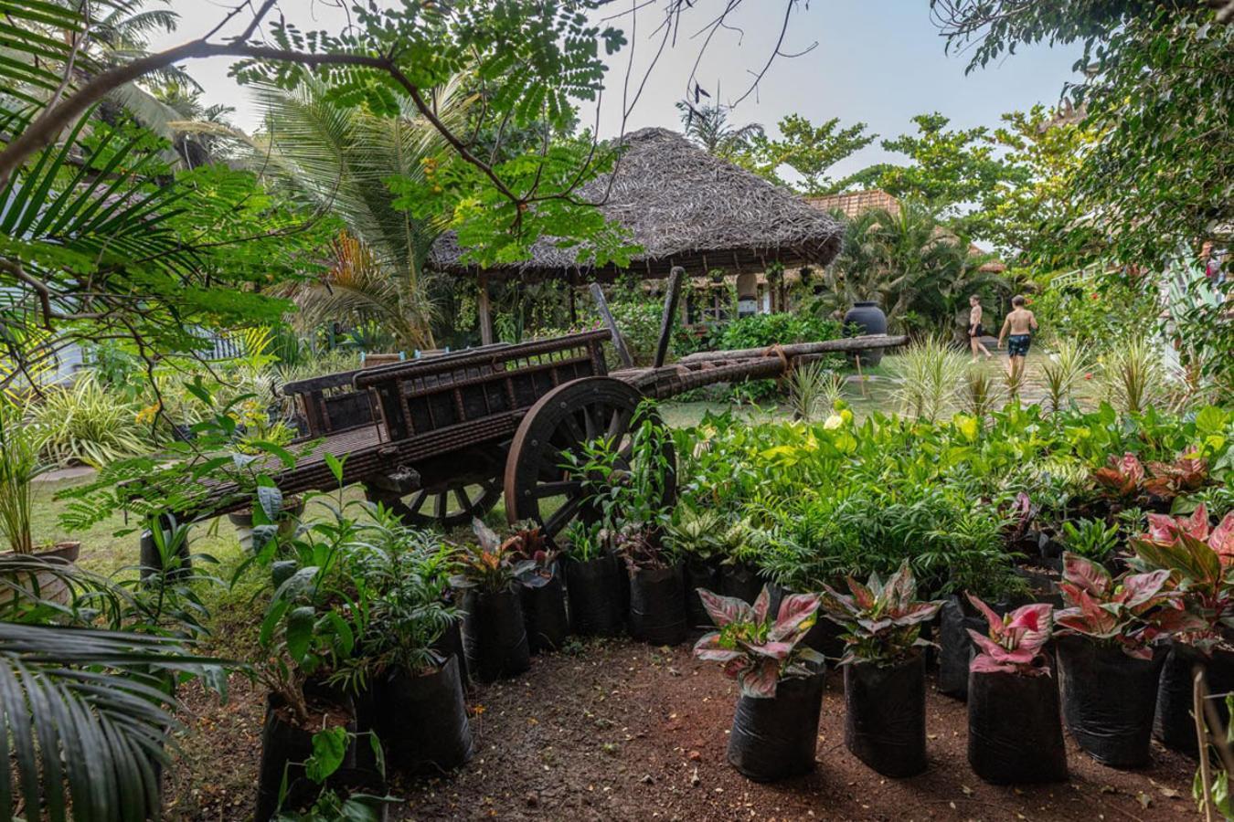 Akasa Goa Hotel Palolem Exterior foto